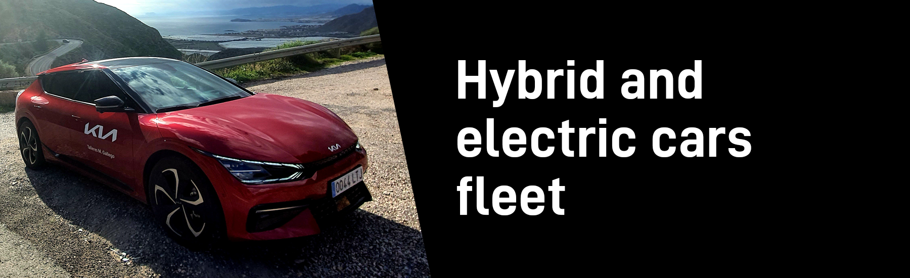 Flota de coches híbridos y eléctricos
