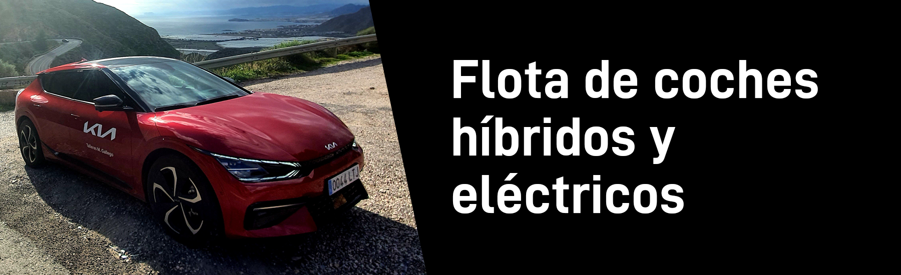 Flota de coches híbridos y eléctricos